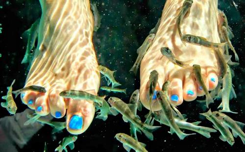Рибата почиства кожата на краката
