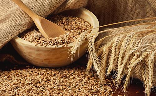 Рецепти от пшенична каша във вода и мляко. Ползите и вредите от продукта