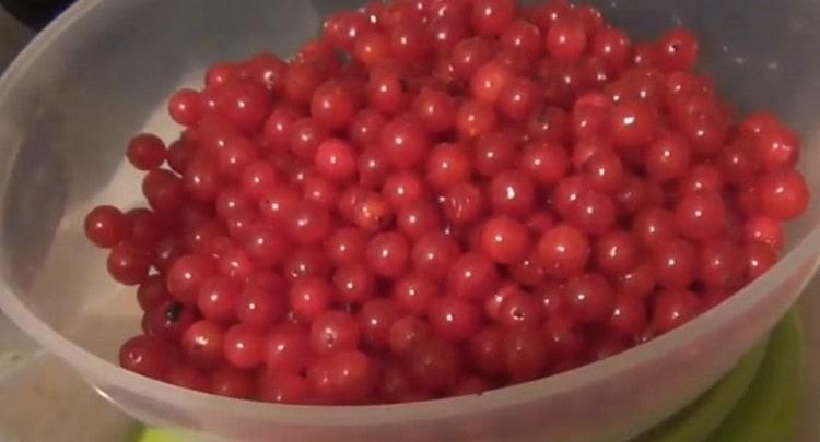 Hugasan ang mga viburnum berries at tuyo ang mga ito nang kaunti.