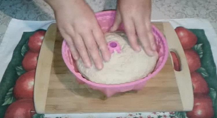 Ilagay ang kneaded dough sa isang baking dish.