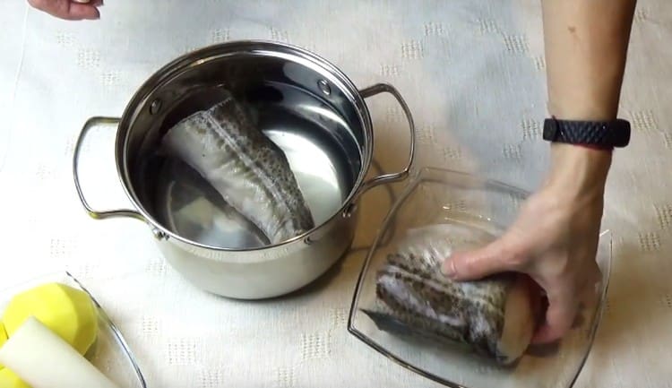 Die Dorschstücke ins Wasser geben und zum Kochen bringen.