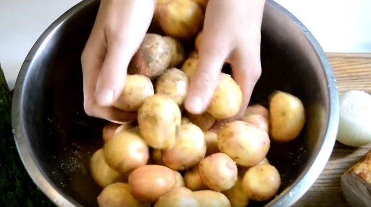 Gewürze, Pflanzenöl hinzufügen und die Kartoffeln gründlich mischen.